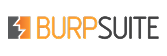 burpSuite