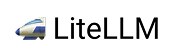 litellm