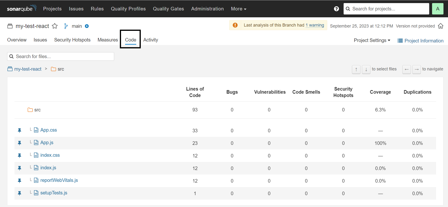 SonarQube detailed report