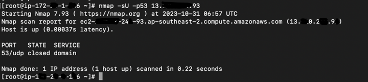 steps Nmap install