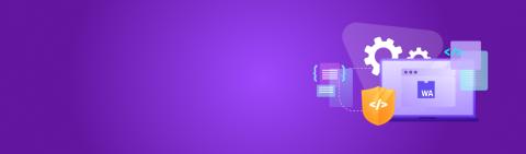 Wasm security in web development
