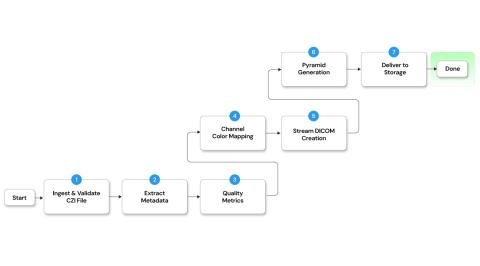 Automated CZI to DICOM Imaging Pipeline